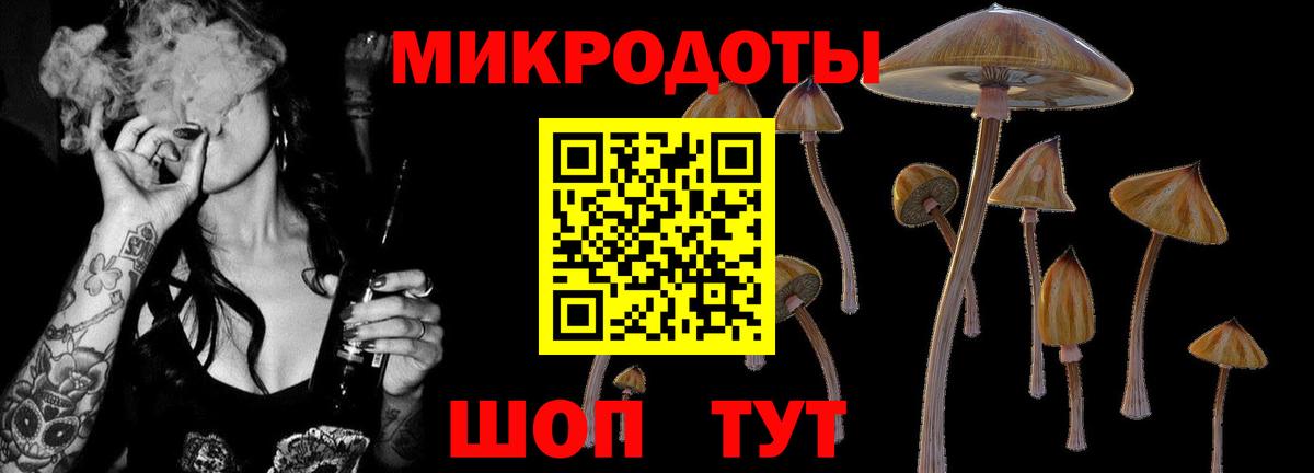 Вольск  Псилоцибиновые грибы Psilocybe  Вход с VPN  Галлюциногенные грибы мухоморы 